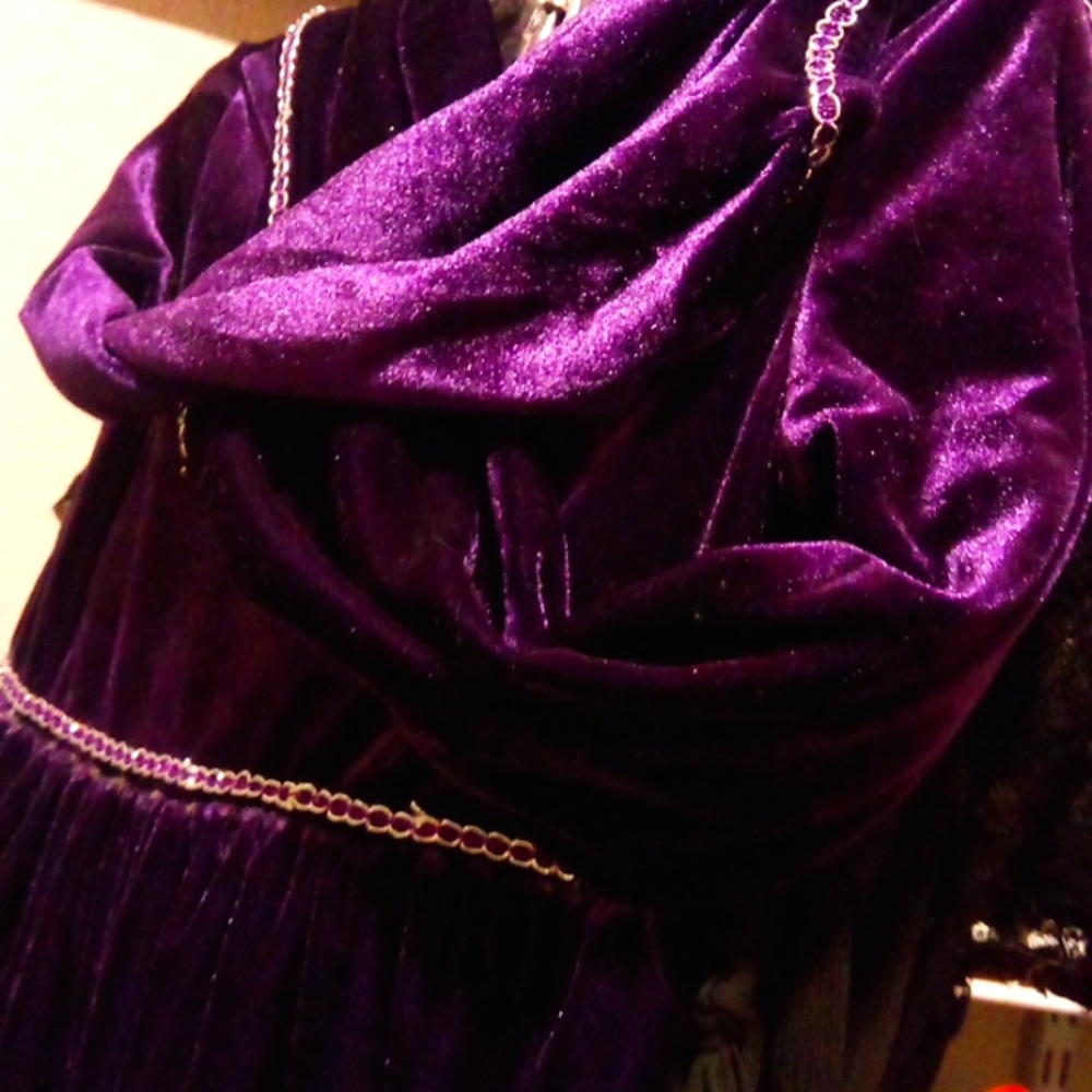 Royal purple velvet Renaissance dress size medium